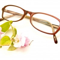 Where To Buy Eyeglasses In FL