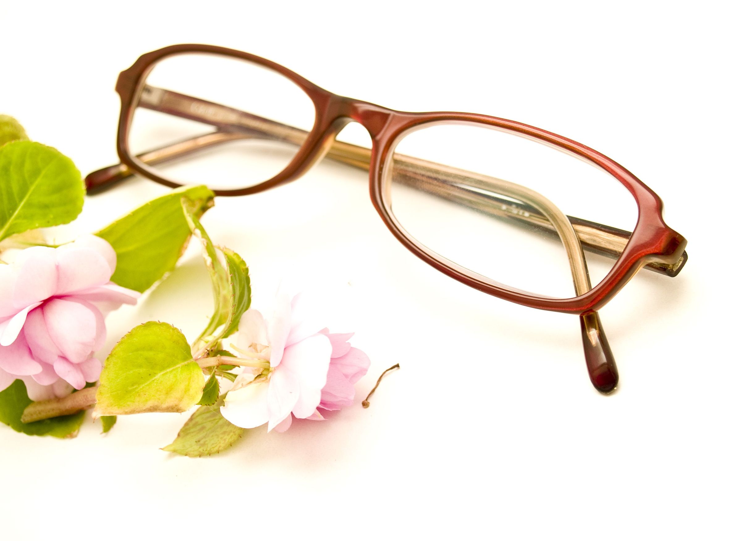 Where To Buy Eyeglasses In FL