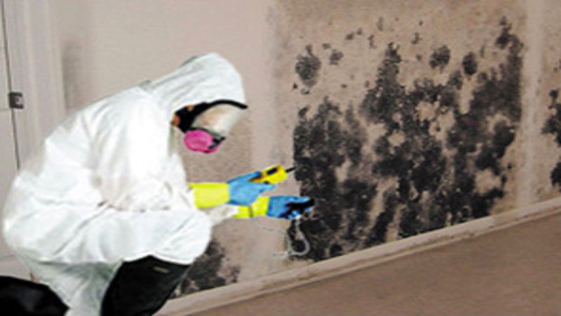 Your Questions Answered About Smoke Damage Recovery