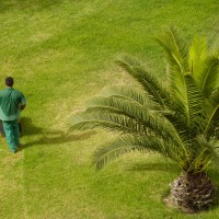 Why Hire a Professional to Manage the Lawn Care in Waukesha, WI?
