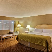 Local Residents Appreciate Holiday Buffets at Hotels Moorhead MN Is Known For