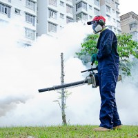 Technicians From Atlas Exterminator Co Inc in Bel Air, MD Assist Property Owners With Stinging Insect Problems