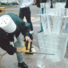 An Ice Luge in Long Island NY Can Help Liven Up Any Party