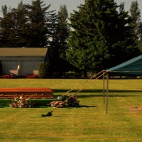 The Experts Who Make it Simple to Arrange Funeral Services in Bradenton Fl