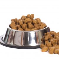 Benefits of Natural Food for Pets in Folsom CA