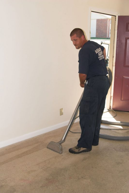Pets in the House: Why Professional Carpet Cleaning in Colorado Springs Matters