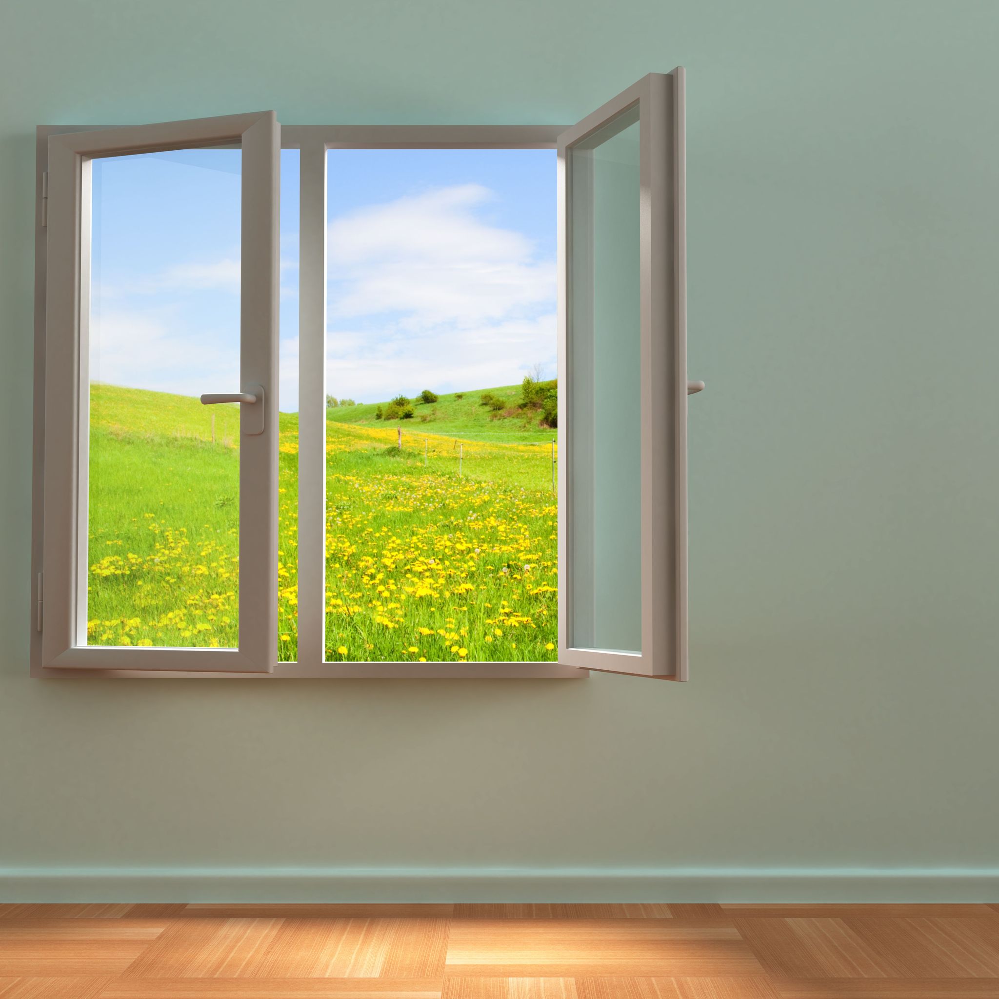 Advantages of Choosing Casement Replacement in St Paul Instead of a Different Window Style