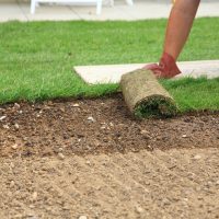 Boost Curb Appeal With Landscaping in Kihei