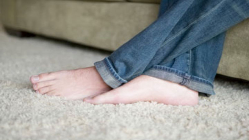 Hire Help With Carpet Tear-Outs in Your Home