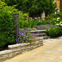 Professional Landscaping in Fairfield Connecticut Will Make a Big Difference