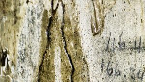 Protect Your Home From Costly Repairs With Water Damage Restoration Services Edgewood, MD