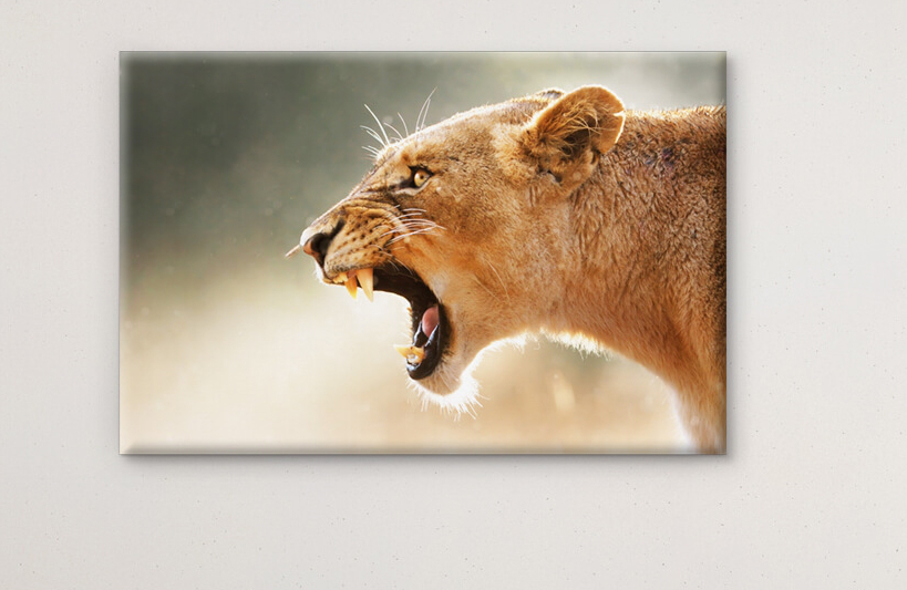 How to Decide Between Acrylic Prints and Canvas Prints