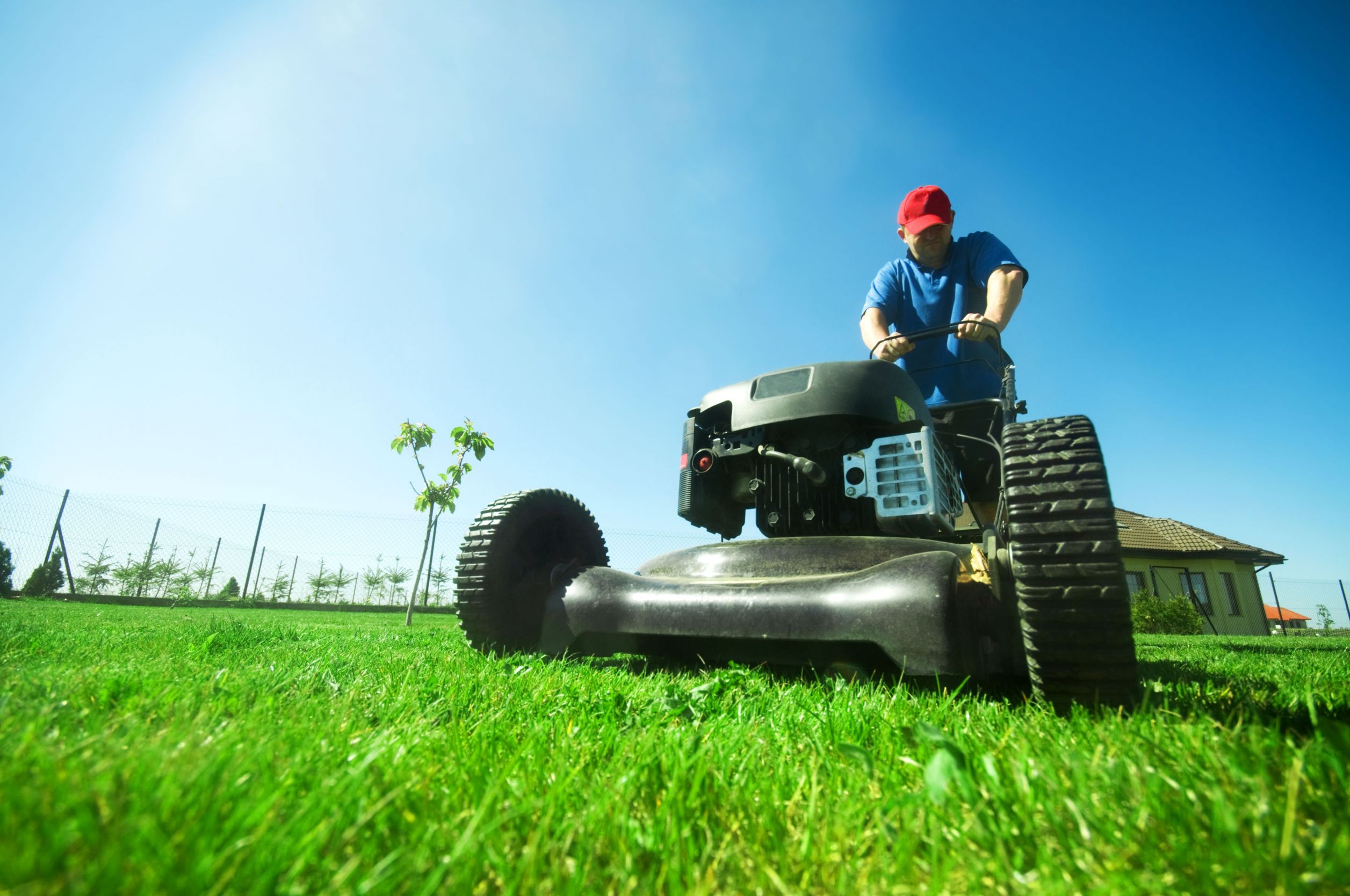 The Benefits of Using a Lawn Service for Exterior Pest Control in Longmont, CO