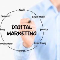 Turn to Tree Ring Digital – The Leading Digital Marketing Agency
