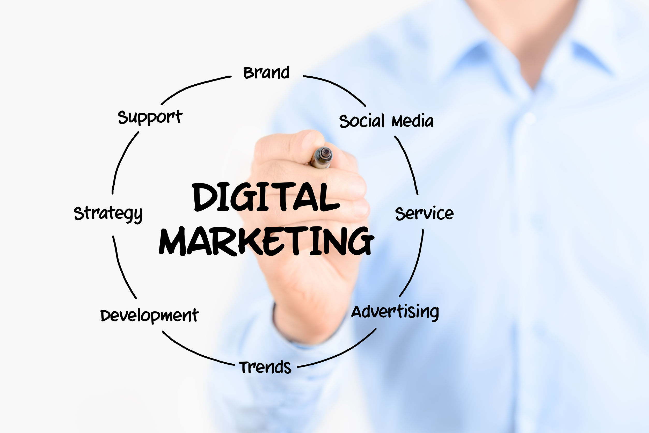 Turn to Tree Ring Digital – The Leading Digital Marketing Agency