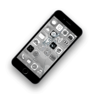 Common – and Fixable – iPhone Damage
