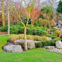 Why You Should Use an Organic Based Lawn Care Program in New Canaan, CT