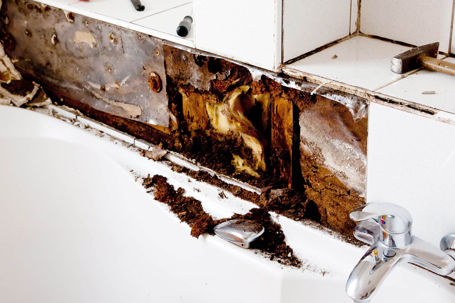The Importance of a Mold Inspection in Stamford, CT