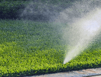 Tree Services Offer Sprinkler Repair in Spokane