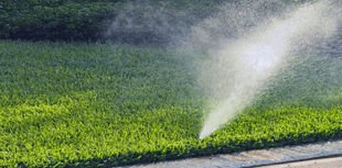 Tree Services Offer Sprinkler Repair in Spokane