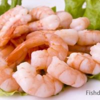 The Most Amazing and Delicious Shrimp Scampi in Carlsbad, CA