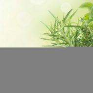 Navigating Health Supplements in Salt Lake City