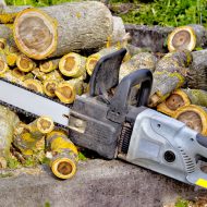 24-Hour Emergency Tree Services in Dunwoody GA Are a Useful Resource