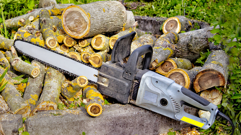 24-Hour Emergency Tree Services in Dunwoody GA Are a Useful Resource