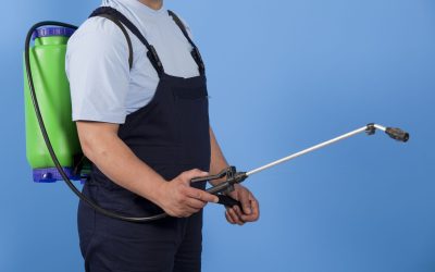 Keep Your Family Safe From Bugs With Home Pest Control Services Richmond VA Solutions