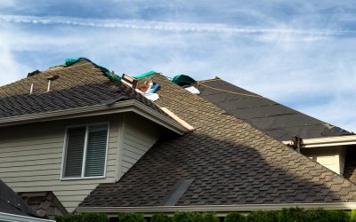 Affordable Solutions Await When You Need a Skilled Roofer in Lakeland, FL